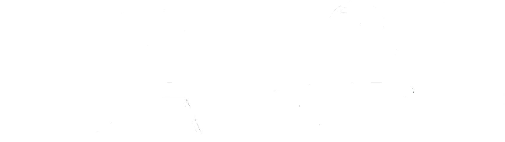 VAPAS